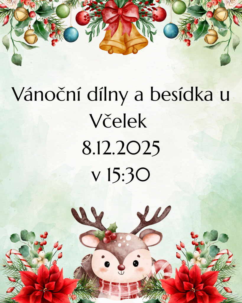 Vánoční dílny a besídka u Včeliček